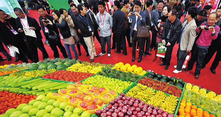 聚焦热带农产品发展——国际热带农产品冬季交易会即将开幕