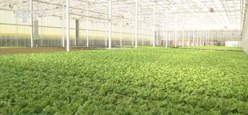 科技赋能，鲜活水产品提质增效 新装备引领现代农业新篇章