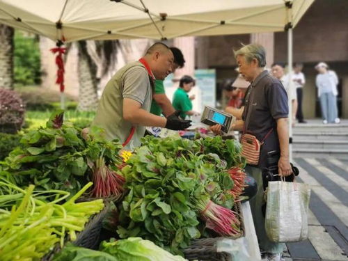 高温天，这个市集把平价菜、优质农产品送到居民家门口 鲜活水产品受热捧