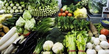 江杨农产品批发市场 城市农产品供应的枢纽