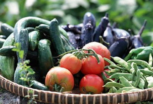 农产品追溯系统保障鲜活水产品食品安全