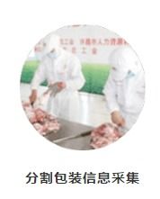 农产品质量安全追溯系统 深圳网站建设推广在鲜活水产品领域的应用与价值