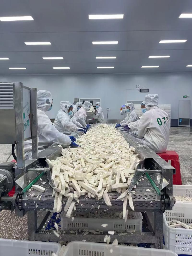 世界长寿之乡·中国香芋之乡 芋头产业链与鲜活水产品的绿色交响